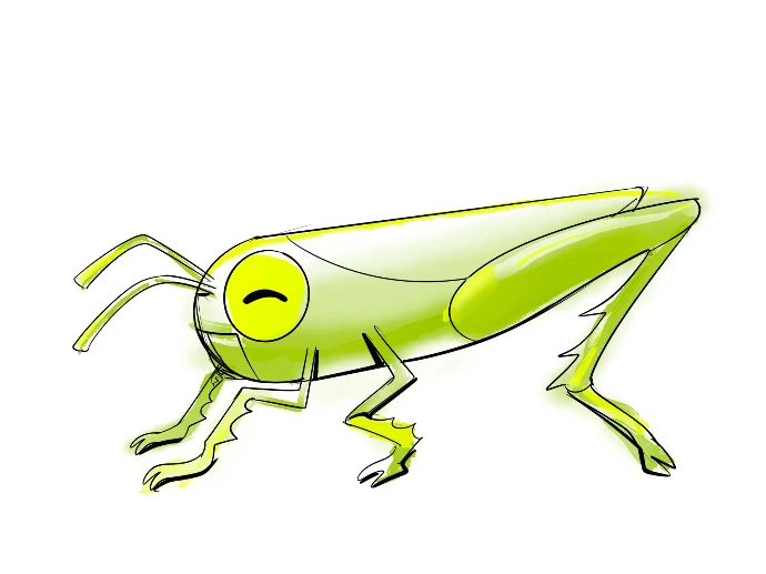 cricket character creation